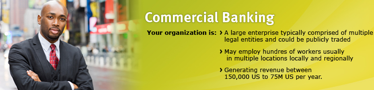 Commercial Banking. 
Your organization is:
A Large enterprise typically comprised of multiple legal entities and could be publicly traded, 
 May employ hundreds of workers usually in multiple locations locally and regionally, 
 Generating Revenue between 150,000US to 75MUS per year.