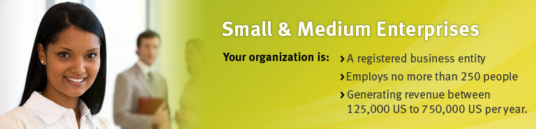 Small and Medium Enterprises. Your organization is: A registered business entity, Employs no more than 250 people, Generating revenue between 125,000 to 750,000 US per year.