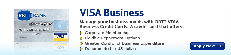 Visa Business