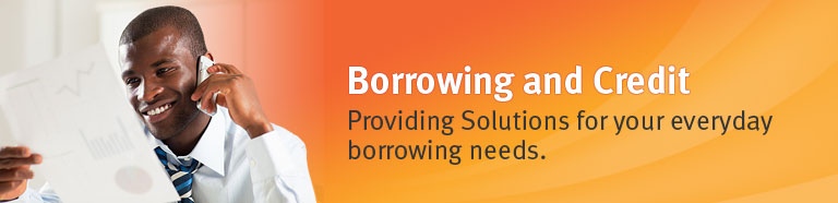 Borrowing and Credit - Providing Solutions for your everyday borrowing needs.
